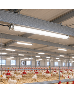 Luminaire LED Étanche IP69K 40W – 6 000 Lumens – 4000K – 120 cm