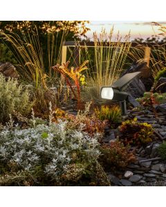Lampe solaire LED de jardin CCT 200 lumens IP65 avec télécommande