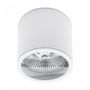 Spot en saillie AR111 GU10 – rond – blanc – IP44 – 118×114 mm – sans ampoule