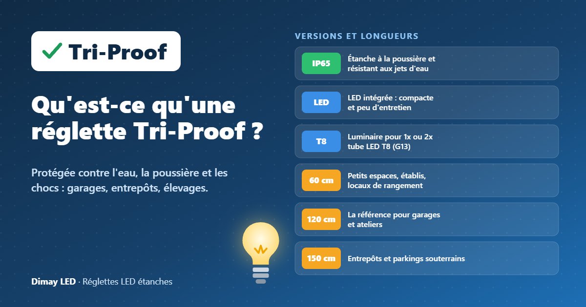 Infographie : qu'est-ce qu'une réglette LED Tri-Proof ?